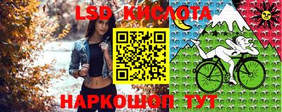 не бодяженный Будённовск