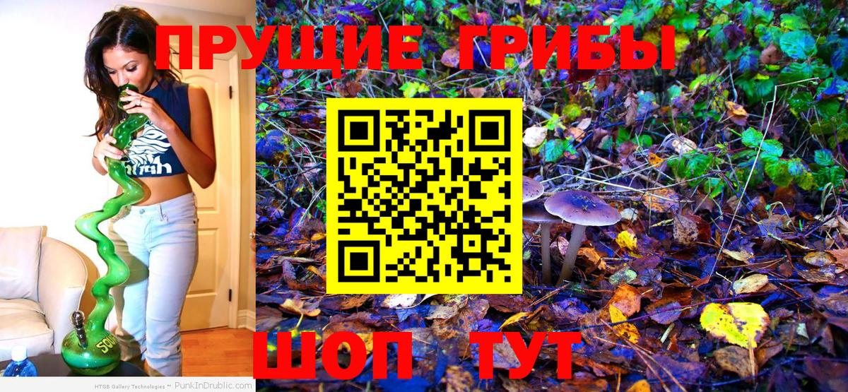 Галлюциногенные грибы Magic Shrooms  Вход с VPN  Псилоцибиновые грибы Psilocybe  Бирск 